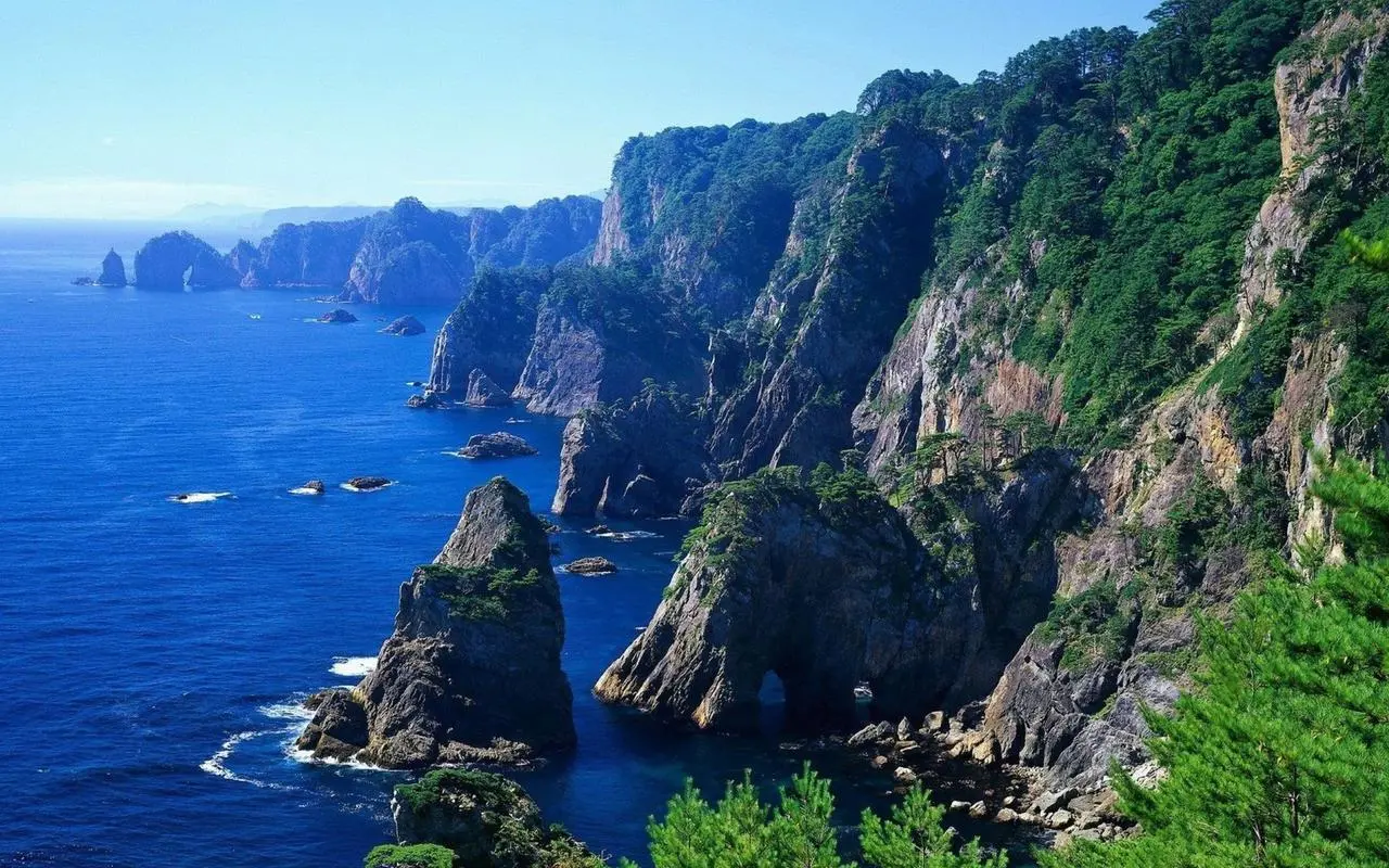 高性能独特独特